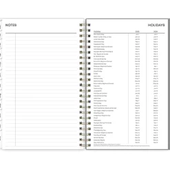2025 Blue Sky Sophie 5
