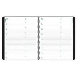 2025 Blueline Plan & Link 7.25