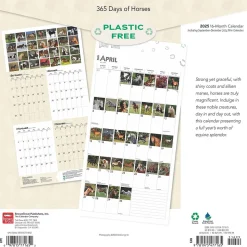 2025 BrownTrout 365 Days of Horses 12" x 12" Monthly Wall Calendar (9781975477165)