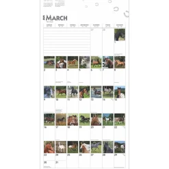 2025 BrownTrout 365 Days of Horses 12