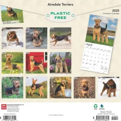 2025 BrownTrout Airedale Terriers 12" x 12" Monthly Wall Calendar (9781975476472)