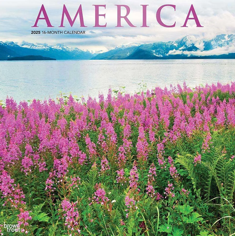 2025 BrownTrout America 12" x 12" Monthly Square Wall Calendar (9781975474447)