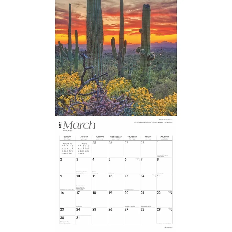 2025 BrownTrout America 12" x 12" Monthly Square Wall Calendar (9781975474447)