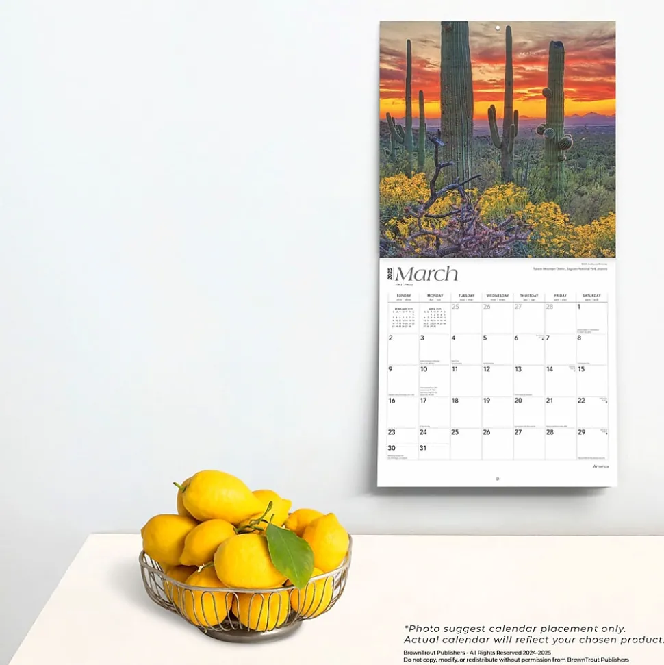 2025 BrownTrout America 12" x 12" Monthly Square Wall Calendar (9781975474447)