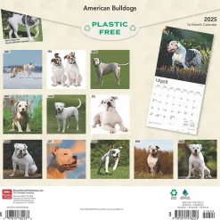 2025 BrownTrout American Bulldogs 12" x 12" Monthly Square Wall Calendar (9781975478223)