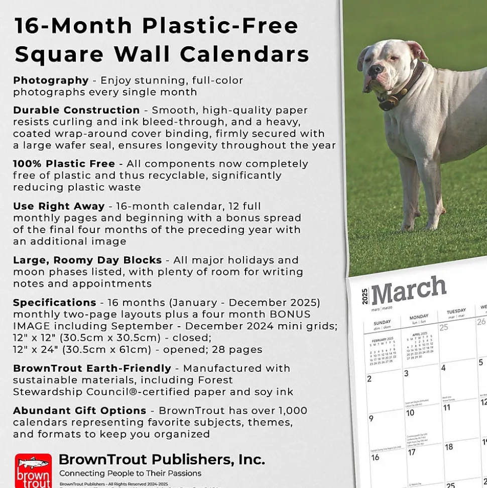 2025 BrownTrout American Bulldogs 12" x 12" Monthly Square Wall Calendar (9781975478223)