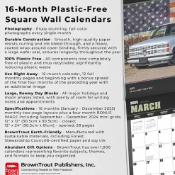 2025 BrownTrout American Muscle Trucks 12