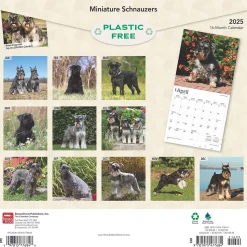 2025 BrownTrout ature Schnauzers 12" x 12" Monthly Wall Calendar (9781975477684)
