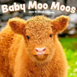 2025 BrownTrout Baby Moo Moos 12" x 12" Monthly Wall Calendar (9781975476588)