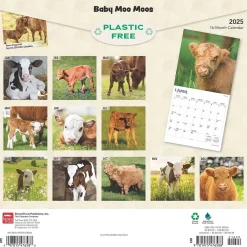 2025 BrownTrout Baby Moo Moos 12" x 12" Monthly Wall Calendar (9781975476588)