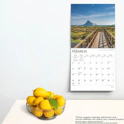 2025 BrownTrout Beaches 12