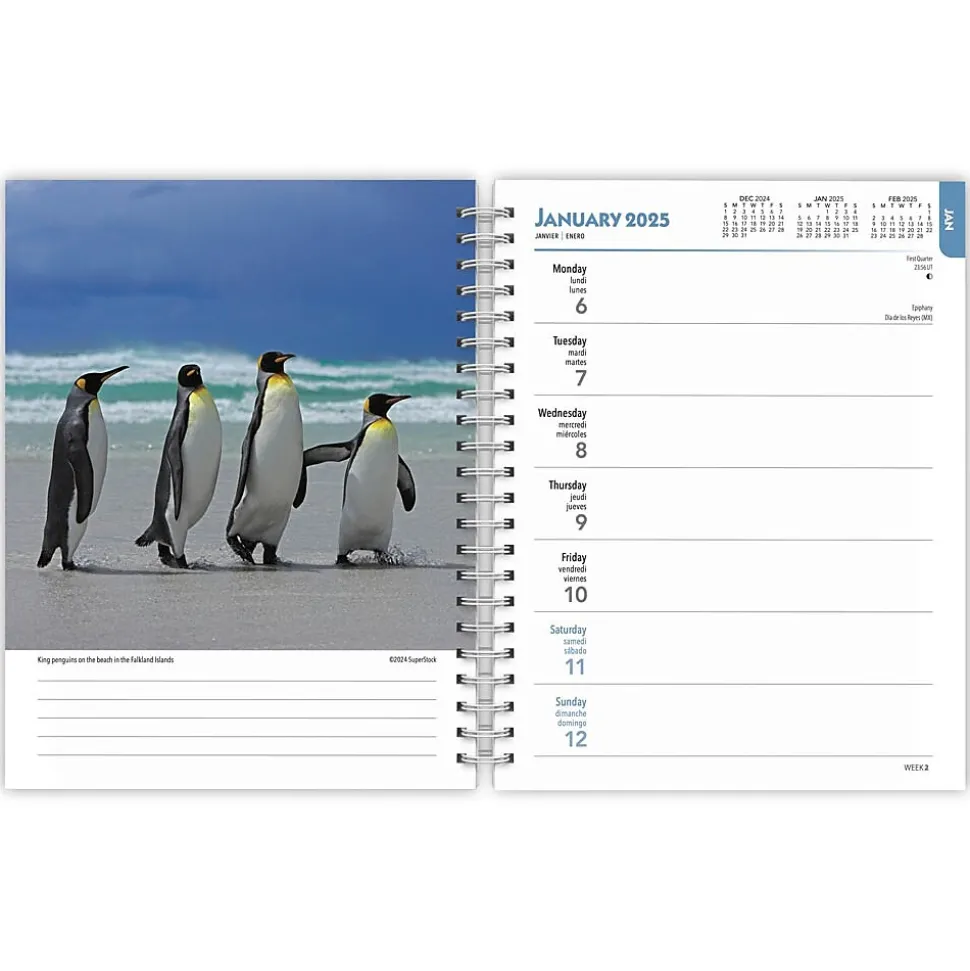 2025 BrownTrout Beaches 6" x 7.75" Weekly Engagement Planner, Paper Cover, Multicolored (9781975473198)