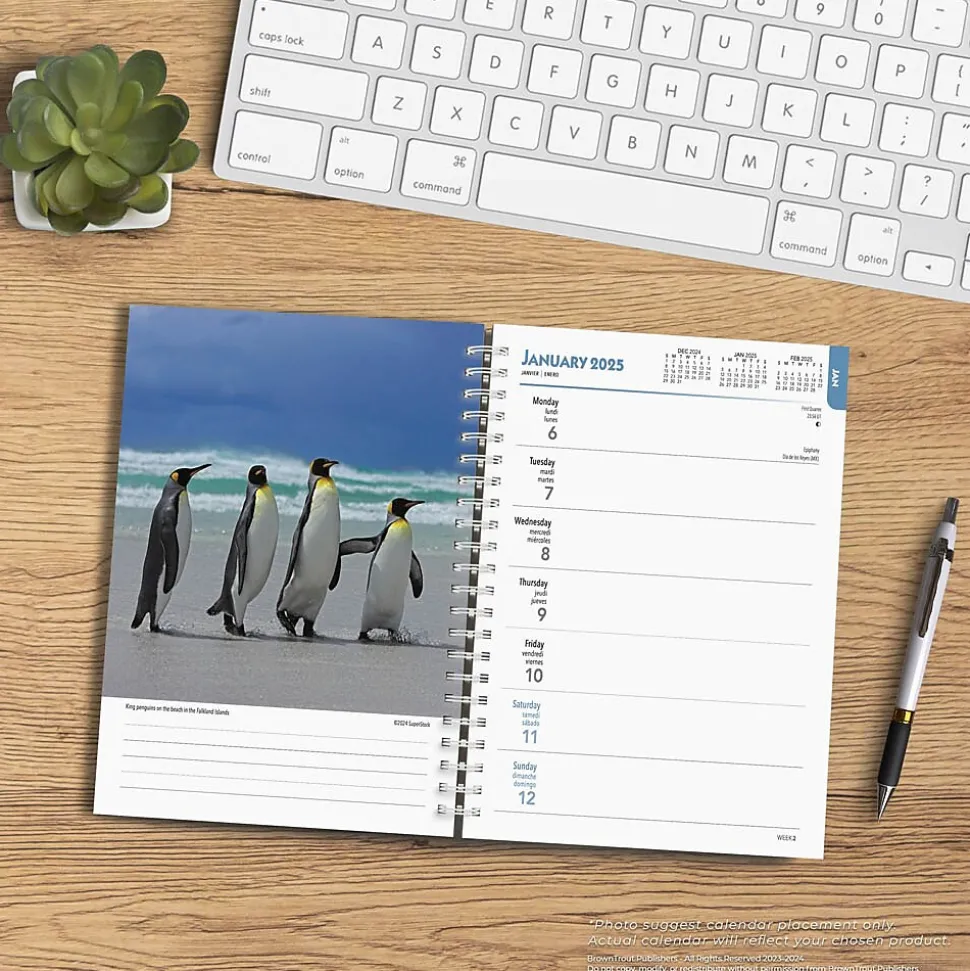 2025 BrownTrout Beaches 6" x 7.75" Weekly Engagement Planner, Paper Cover, Multicolored (9781975473198)