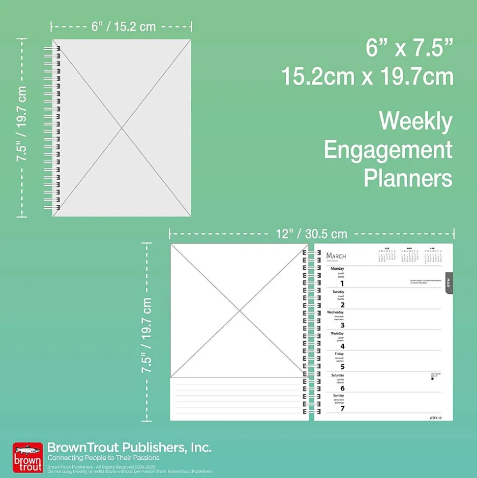 2025 BrownTrout Beaches 6" x 7.75" Weekly Engagement Planner, Paper Cover, Multicolored (9781975473198)