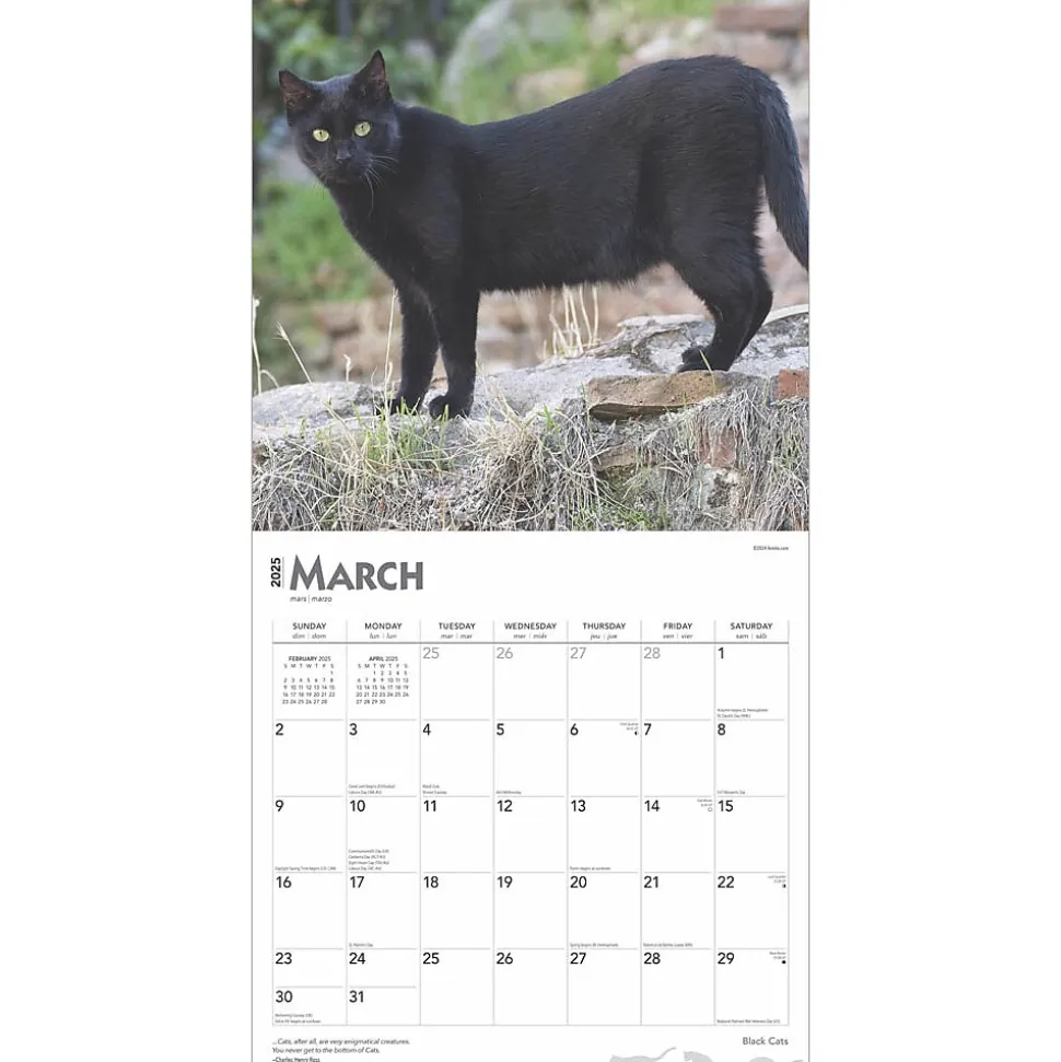 2025 BrownTrout Black Cats 12" x 12" Monthly Wall Calendar (9781975476649)