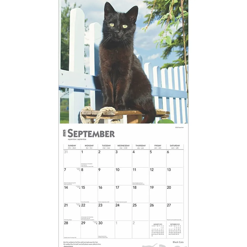 2025 BrownTrout Black Cats 12" x 12" Monthly Wall Calendar (9781975476649)