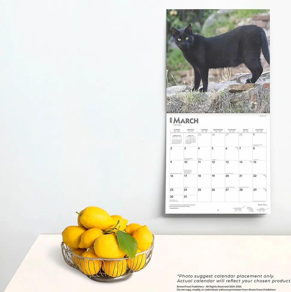 2025 BrownTrout Black Cats 12" x 12" Monthly Wall Calendar (9781975476649)