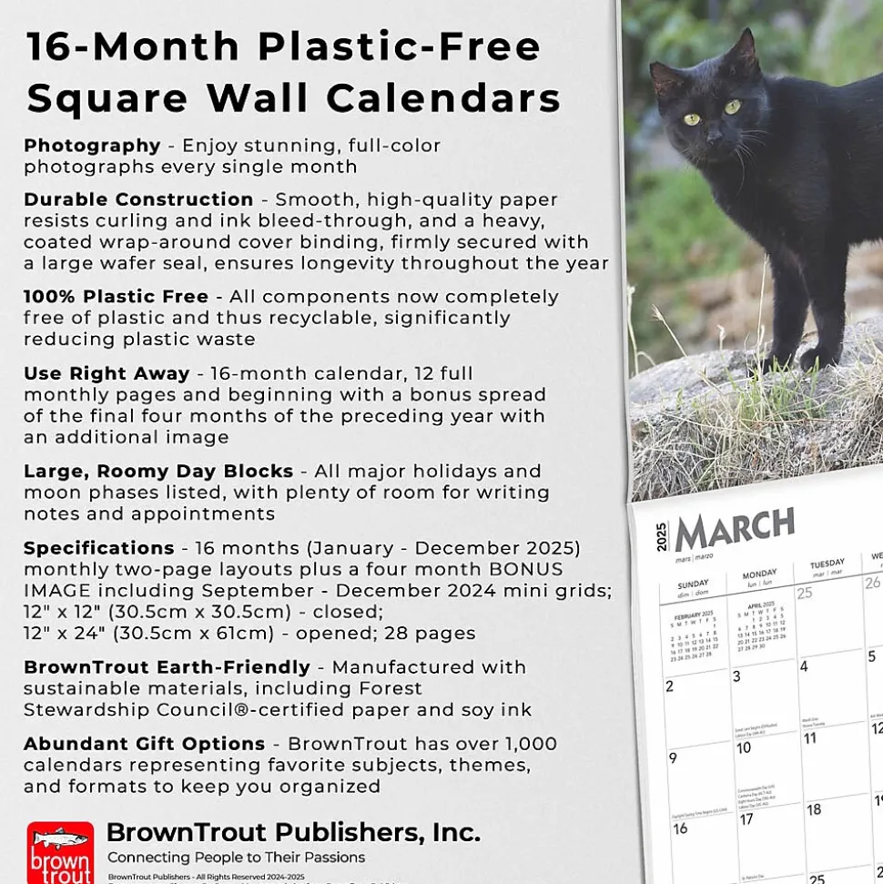 2025 BrownTrout Black Cats 12" x 12" Monthly Wall Calendar (9781975476649)