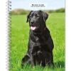 2025 BrownTrout Black Labrador Retrievers 6" x 7.75" Weekly Engagement Planner, Paper Cover, Multicolored (9781975473235)