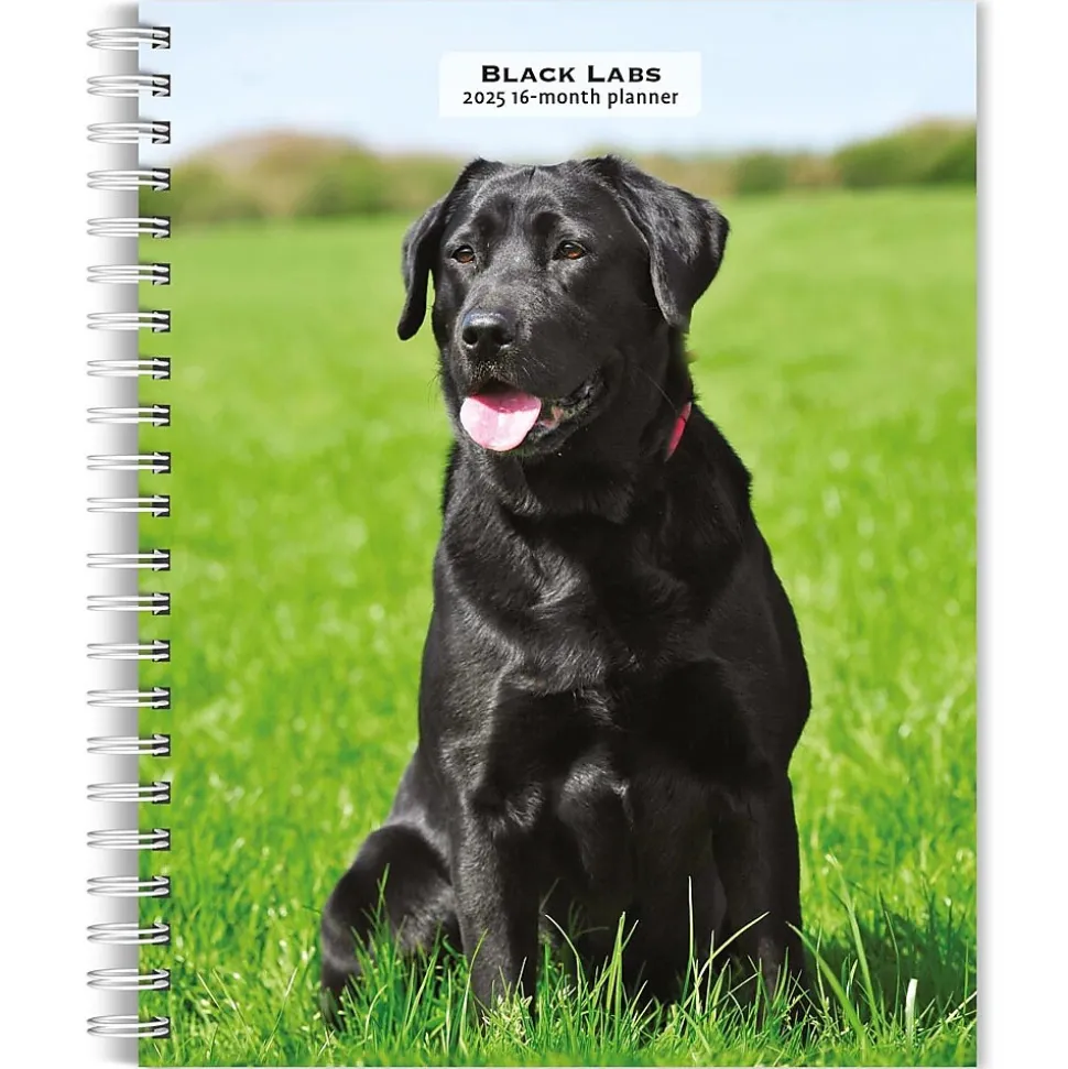 2025 BrownTrout Black Labrador Retrievers 6" x 7.75" Weekly Engagement Planner, Paper Cover, Multicolored (9781975473235)