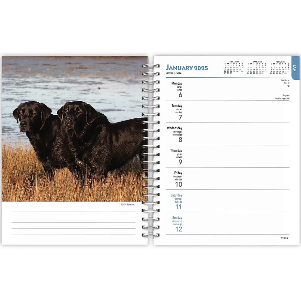 2025 BrownTrout Black Labrador Retrievers 6" x 7.75" Weekly Engagement Planner, Paper Cover, Multicolored (9781975473235)
