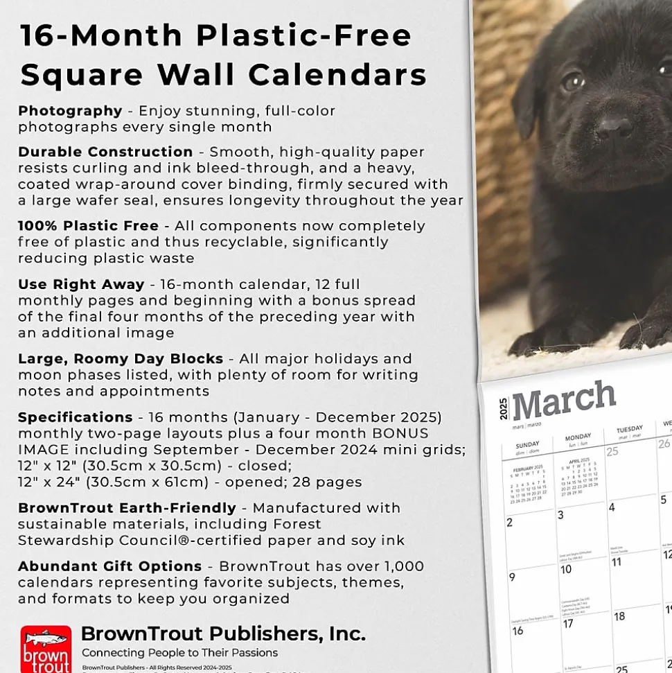 2025 BrownTrout Black Labrador Retriever Puppies 12" x 12" Monthly Wall Calendar (9781975477318)