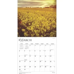 2025 BrownTrout Blessings 12