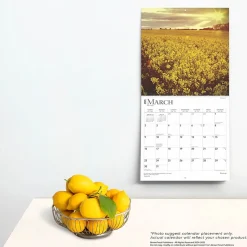 2025 BrownTrout Blessings 12