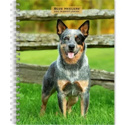 2025 BrownTrout Blue Heelers 6" x 7.75" Weekly Engagement Planner, Paper Cover, Multicolored (9781975483142)