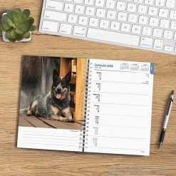 2025 BrownTrout Blue Heelers 6