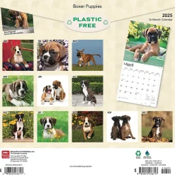 2025 BrownTrout Boxer Puppies 12" x 12" Monthly Wall Calendar (9781975476717)
