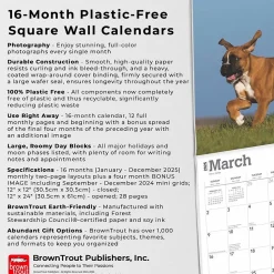 2025 BrownTrout Boxer Puppies 12