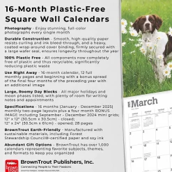 2025 BrownTrout Brittanys 12