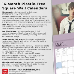 2025 BrownTrout BTS 12