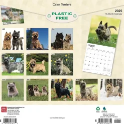 2025 BrownTrout Cairn Terriers 12" x 24" Monthly Square Wall Calendar, (9781975476779)