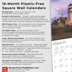 2025 BrownTrout Cape Cod 12