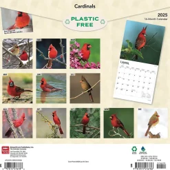 2025 BrownTrout Cardinals 12" x 24" Monthly Square Wall Calendar, (9781975476786)