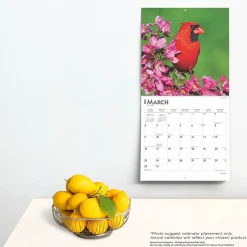 2025 BrownTrout Cardinals 12