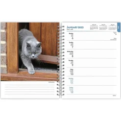 2025 BrownTrout Cat Lovers 6