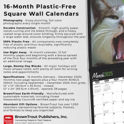 2025 BrownTrout Cat Selfies 12