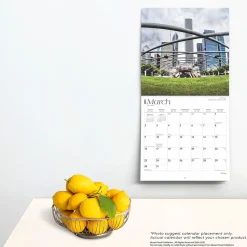 2025 BrownTrout Chicago 12