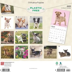 2025 BrownTrout Chihuahua Puppies 12" x 12" Monthly Wall Calendar (9781975474652)