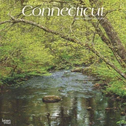 2025 BrownTrout Connecticut Wild & Scenic 12" x 24" Monthly Square Wall Calendar (9781975474720)