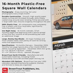 2025 BrownTrout Corvette 12