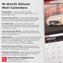 2025 BrownTrout Corvette 14