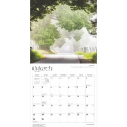 2025 BrownTrout Country Roads 12