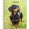 2025 BrownTrout Dachshunds 6" x 7.75" Weekly Engagement Planner, Paper Cover, Multicolored (9781975473174)