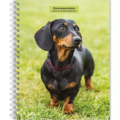 2025 BrownTrout Dachshunds 6" x 7.75" Weekly Engagement Planner, Paper Cover, Multicolored (9781975473174)