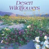 2025 BrownTrout Desert Wildflowers 12" x 12" Monthly Wall Calendar (9781975476014)