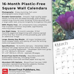 2025 BrownTrout Desert Wildflowers 12